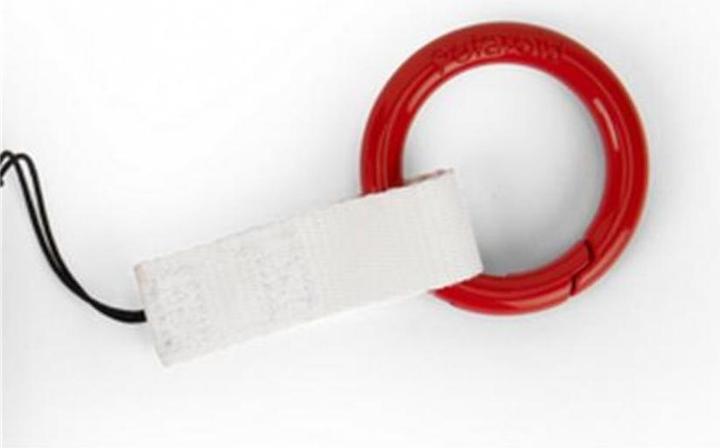Actual product image Polaroid Accessories analog cameras camera clip - GO (Polaroid Go)