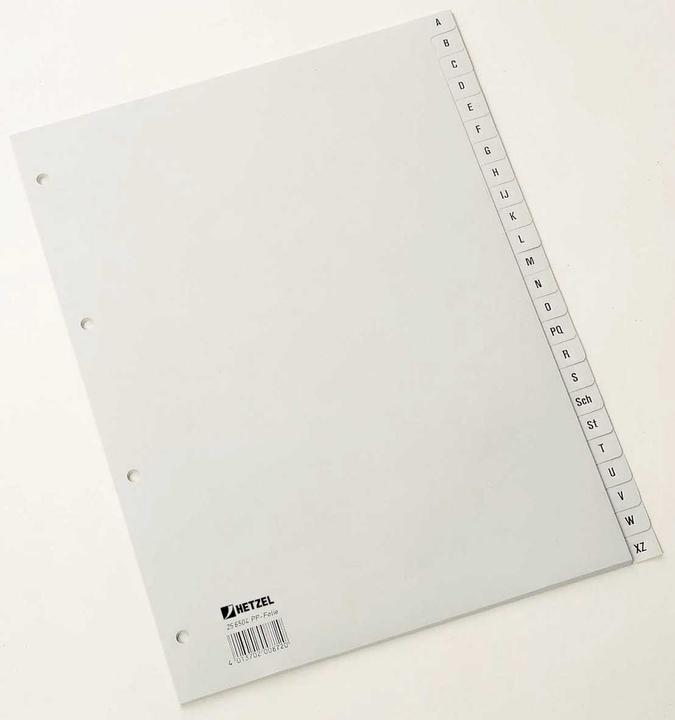 Image du produit Rexel Répertoire en plastique pour A4