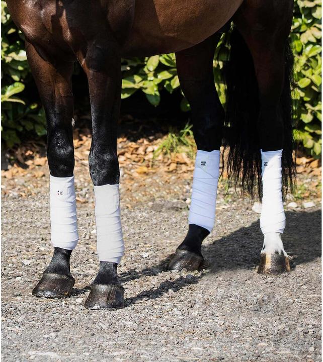 Immagine prodotto Premier Equine set di 4 bande da polo per cavalli