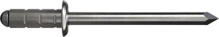 Immagine prodotto Gesipa Rivetto Poly Grip multigrip con testa tonda piatta 4,0x17 in alluminio con mandrino A2