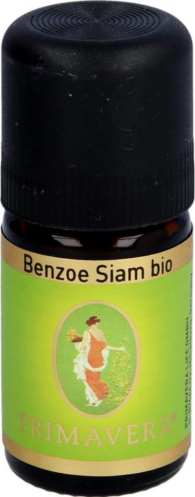 Primavera Benzoe Siam* bio