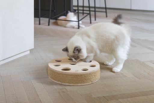 Actual product image Designed by Lotte Raya cat toy (Catmint toy)