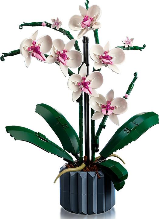 Produktbild LEGO Orchidee (10311, LEGO Botanical)