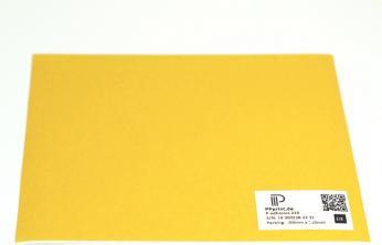 PPprint P-adhesive 220 254x254mm