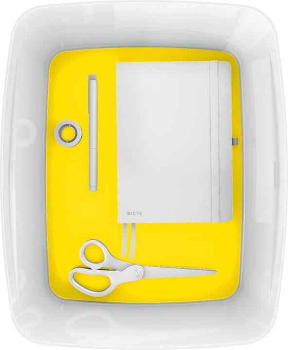 Immagine prodotto Leitz Contenitore MyBox (31,8 x 19,8 x 38,5 cm, 18 l)