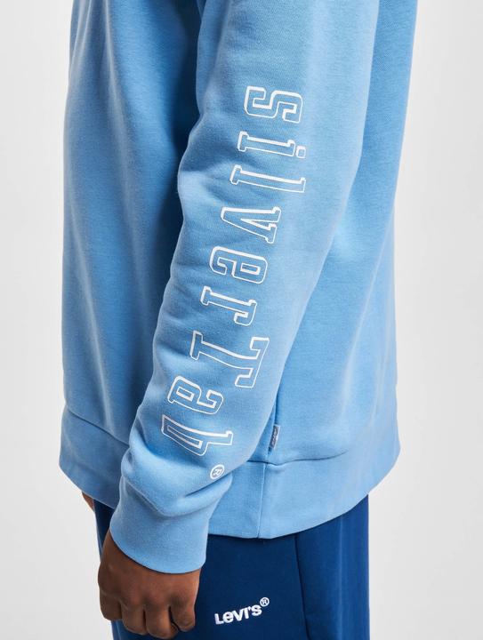 Actual product image Levis T2 Graphic Crew Sweater - 94173 (S)