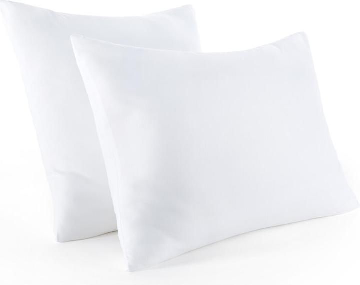 Image du produit La Redoute Interieurs Coussin fixe (60 x 60 cm)
