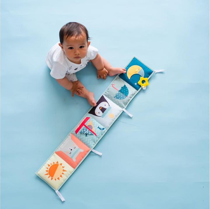 Actual product image Taf Toys North Pole