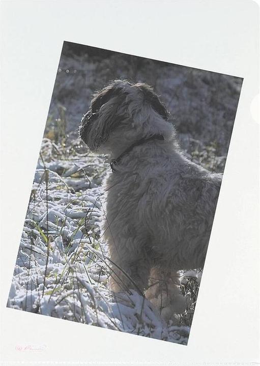 Produktbild Herlitz Sichthülle (A4, 100 x)