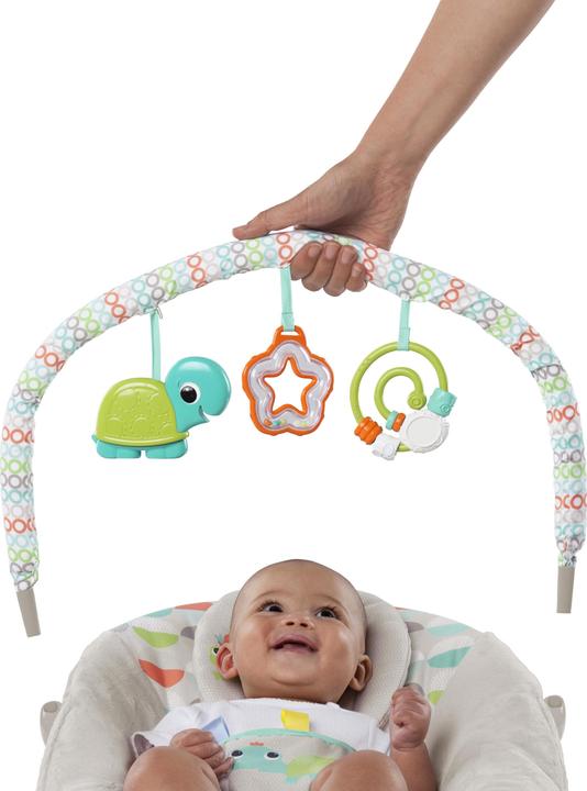 Immagine prodotto Bright Starts Tartaruga Safari Felice