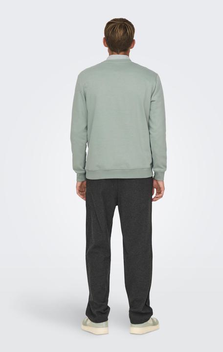Produktbild Only & Sons Onsconnor Reg Crew Neck Sweat Noos (L)