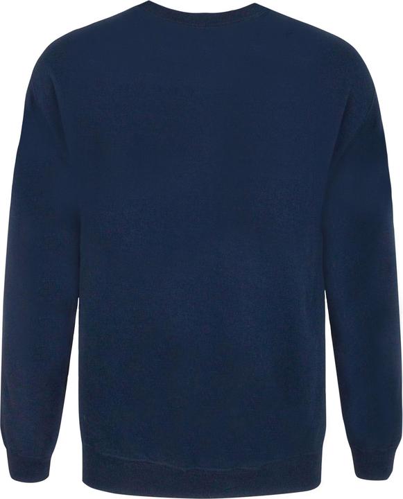 Produktbild Flash Sweater TV STAR Laboratories Erwachsene (S)
