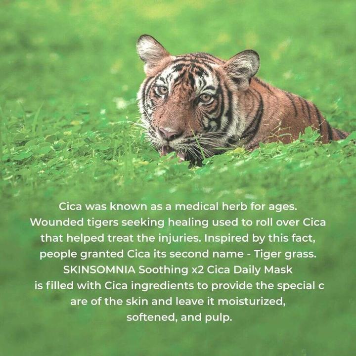 Image du produit Skinsomnia Masque quotidien Soothing X2 CICA