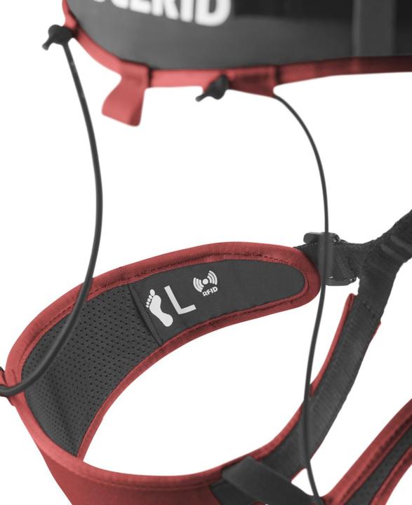Actual product image Edelrid Zack Gym II rental climbing harness (XS)