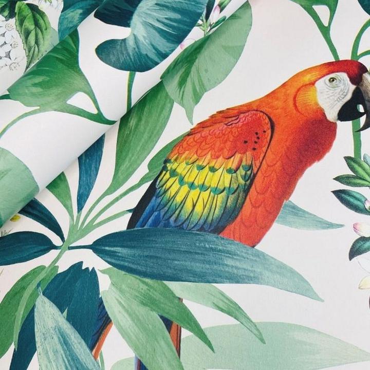 Image du produit World of Wallpaper - Papier peint IKALA (53,5 x 978,5 cm)
