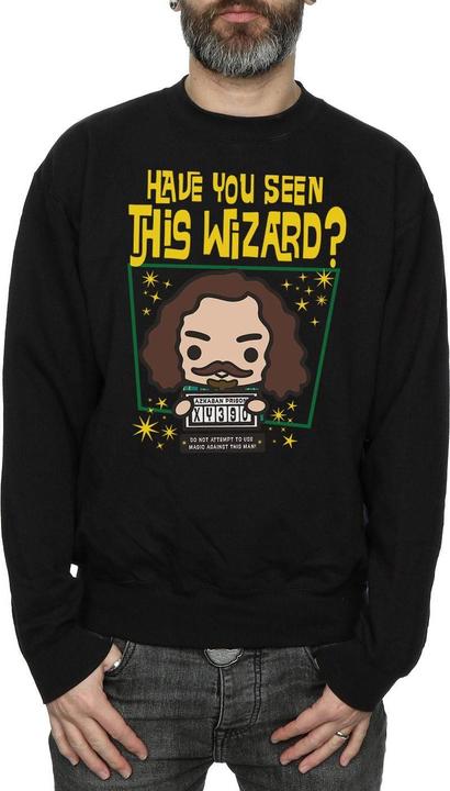 Image du produit - Sweat SIRIUS BLACK AZKABAN JUNIOR - Homme (M)