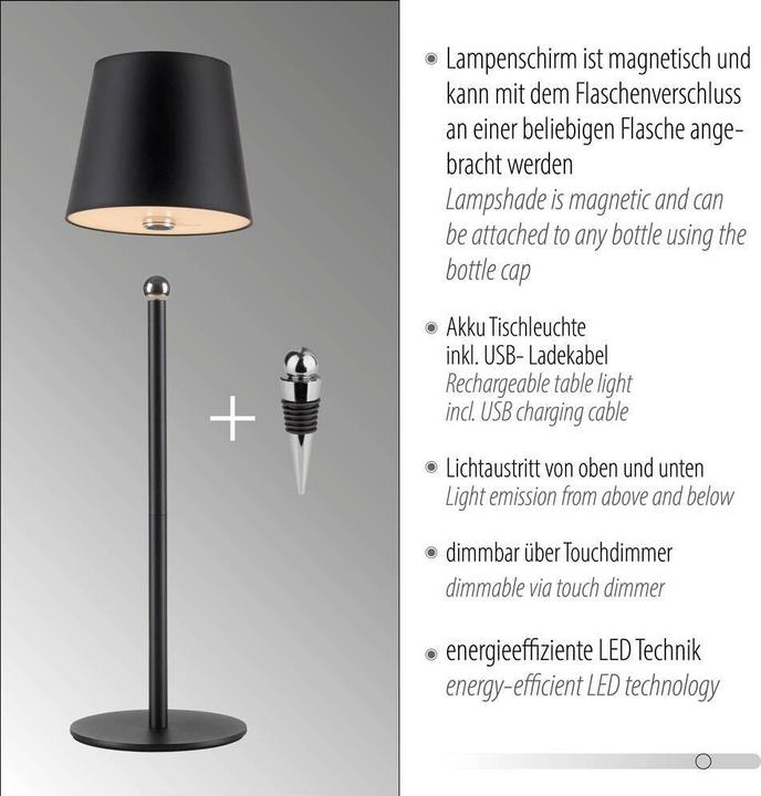 Image du produit Just Light Lampe bouteille à LED (320 lm)