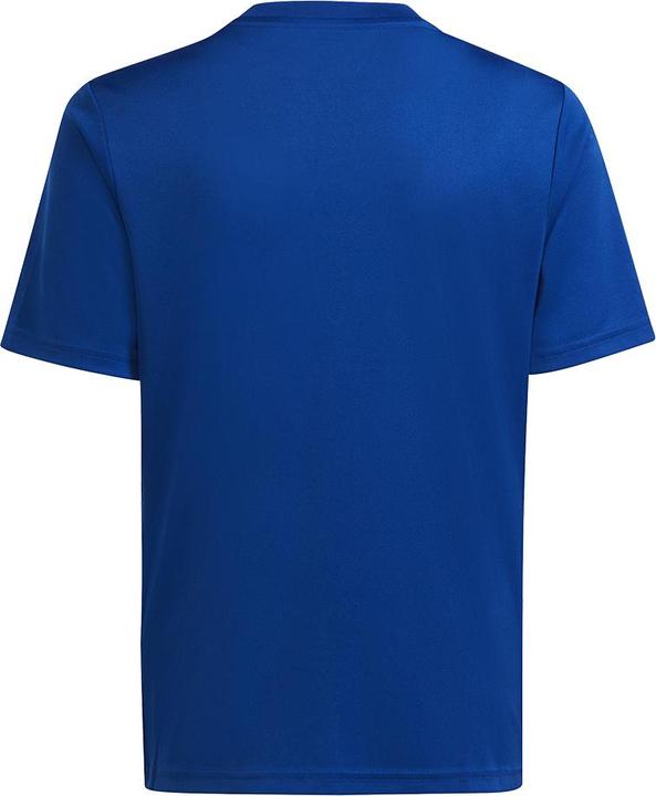 Produktbild adidas Team Icon 23 Trikot (128)