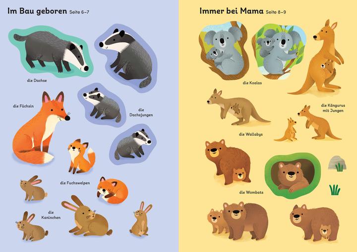 Produktbild Mein Immer-wieder-Stickerbuch: Tierkind
