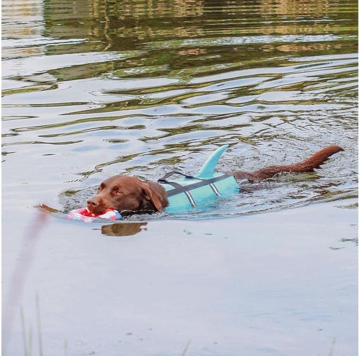 Actual product image Nobby Sharki (M, Dog life jacket)