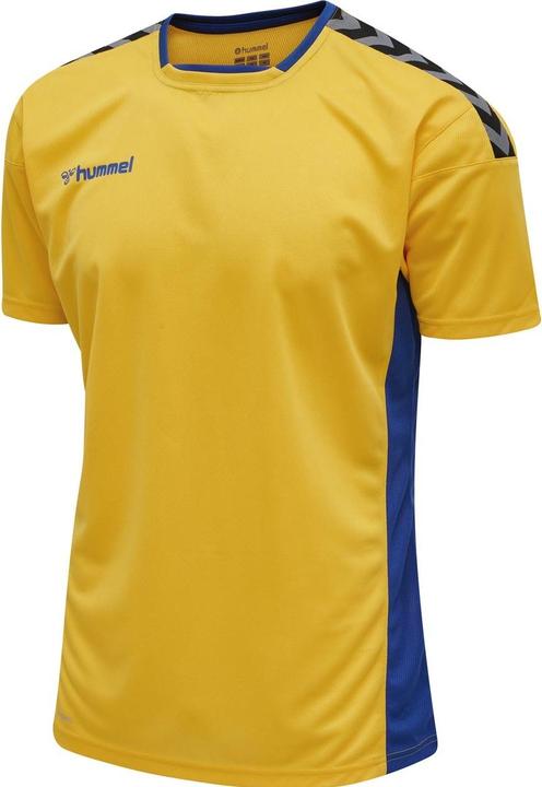 Actual product image hummel Authentic Poly Jersey S/S (S)