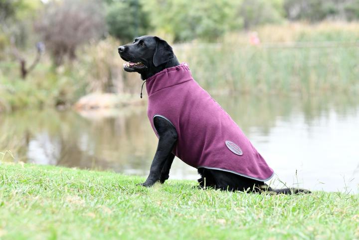 Produktbild Weatherbeeta Comfitec (35, Hundemantel)