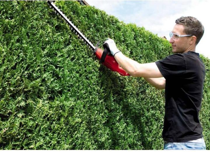 Actual product image Einhell GC-EH 4550 (Electric hedge trimmer)