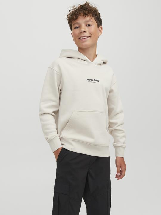 Image du produit Jack & Jones Sweat à capuche (152)