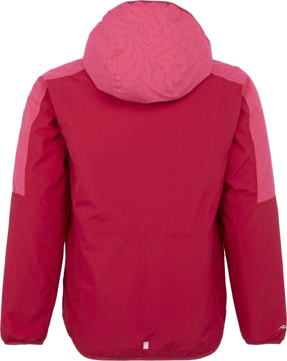 Actual product image Regatta Childrens/Kids Volcanics VIII Terrain Print Reflective Jacket (146, 152)