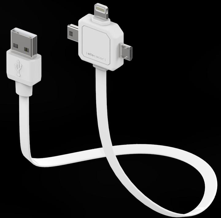 Allocacoc Power (0.80 m, USB 2.0)