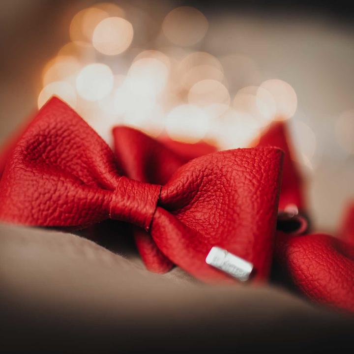 Immagine prodotto Hunter Accessori per colletto papillon Parigi, rosso (Cane, Generale)