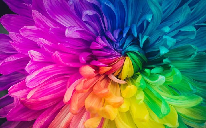 Image du produit Epson EF-12 (Full HD, 1000 lm, 1:1)