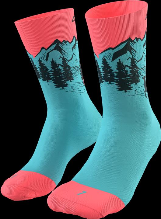 Image du produit Dynafit Chaussettes Stay Fast (43 - 46)