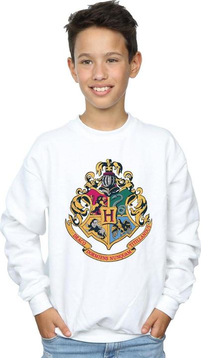 Actual product image Boys Hogwarts Crest Gold Ink Sweatshirt (152, 158)