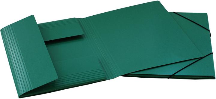 Image du produit Erola Dossier de classement A4 vert avec fenêtre + 3 rabats (A4, 1 x)