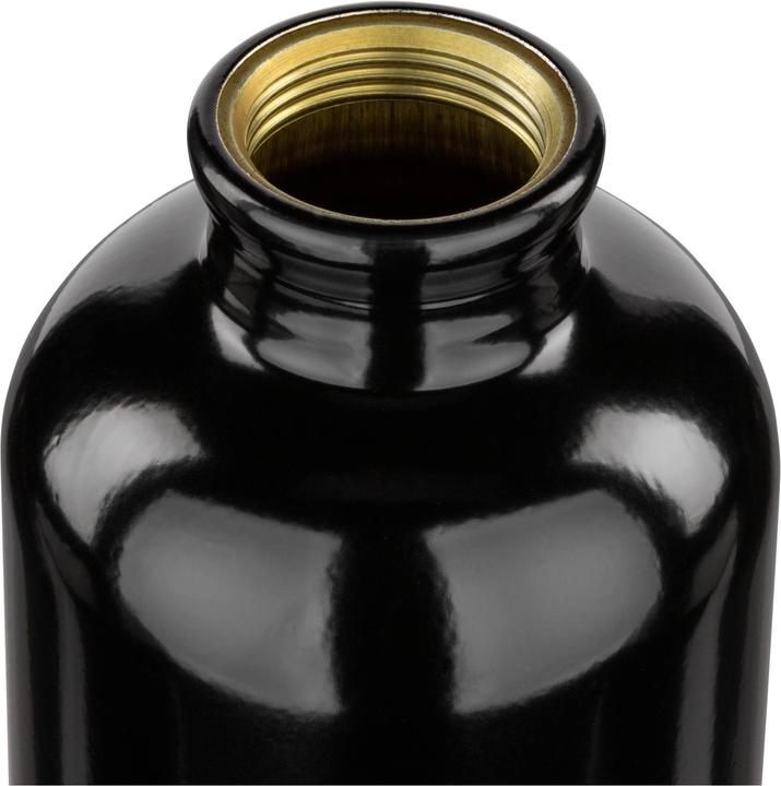 Actual product image Sigg Traveller (0.60 l)