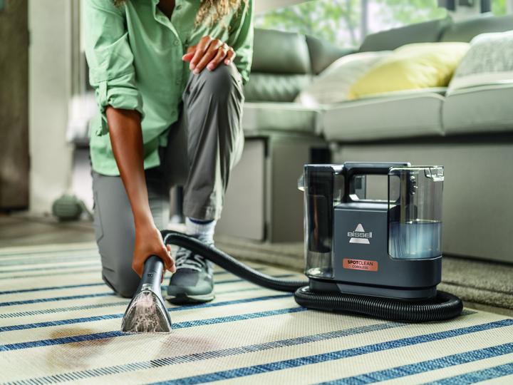 Actual product image Bissell Stain cleaner