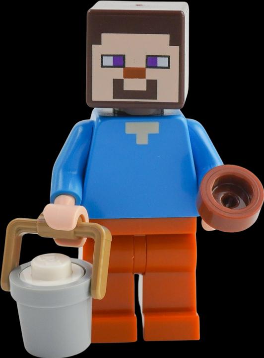 Actual product image LEGO Minecraft Mini-Set Nether Hero mit Strider - NEU! Menge 1x