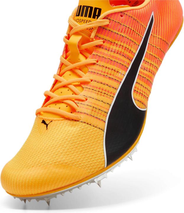 Produktbild Puma evoSPEED BRUSH 6 (42)