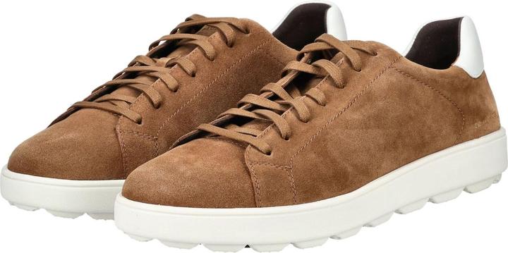 Actual product image Geox Sneaker (44)