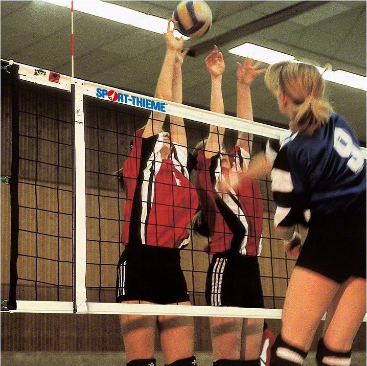 Immagine prodotto Sport-Thieme Torneo di pallavolo Rete DVV 1