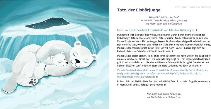 Actual product image FamilyFlow. Schlaf ein wie dein Lieblingstier (German, Dr Daniela Heidtmann, Natasa Kaiser, 2023)