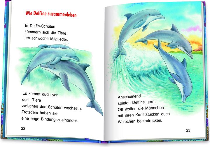 Immagine prodotto Die Delfine (Tedesco, Friederun Reichenstetter, Hans-Günther Döring, 2022)