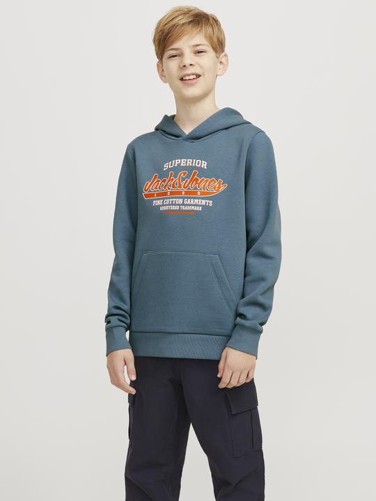 Produktbild Jack & Jones JJELOGO SWEAT HOOD 2 COL 24/25 NOOS JNR (140)