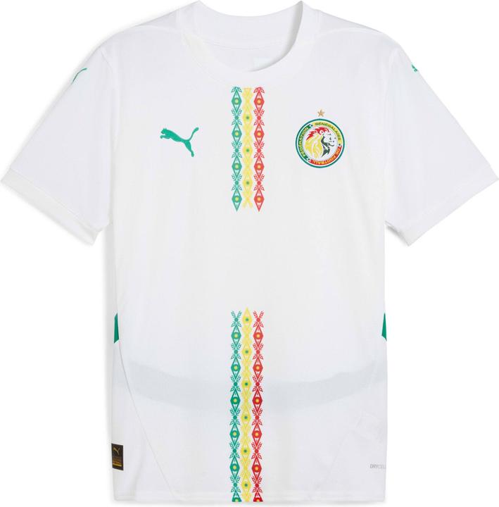 Image du produit Puma FSF Home Jersey Replica (XL)