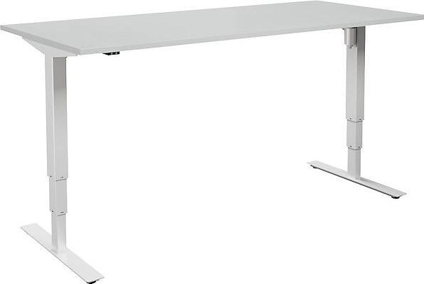 grigio chiaro/bianco