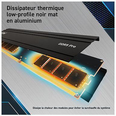Productafbeelding Crucial DDR5-5600 24GB UDIMM CL46 (24Gbit) (1 x 24GB, 5600 MHz, DDR5 RAM, U-DIMM)