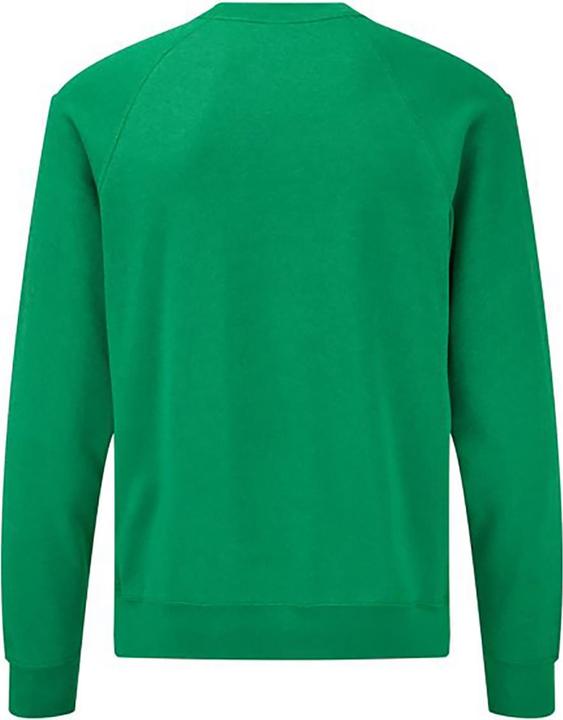 Actual product image Fruit of the Loom Adult classic raglan sweatshirt (L)