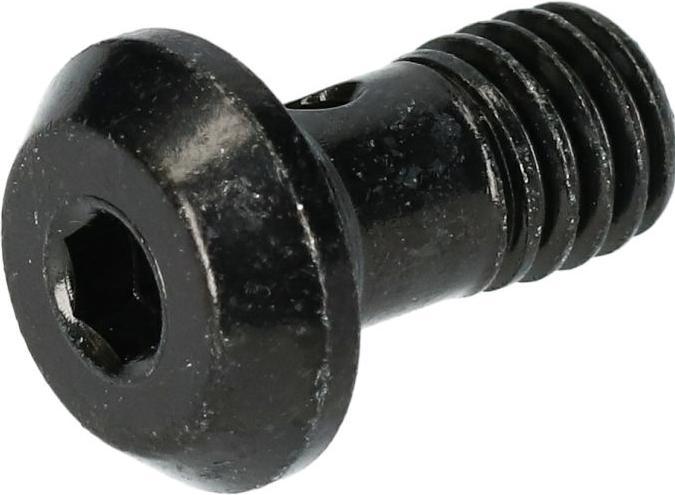 Actual product image Shimano Banjo bolt BR-M8100