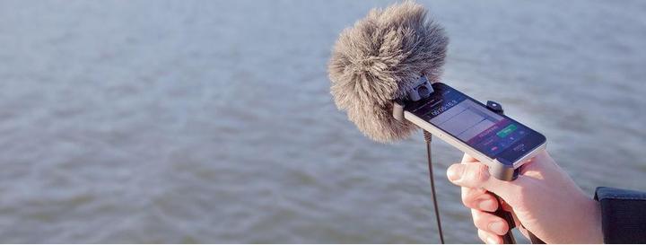 Actual product image RØDE The Dead Kittens (Skins)